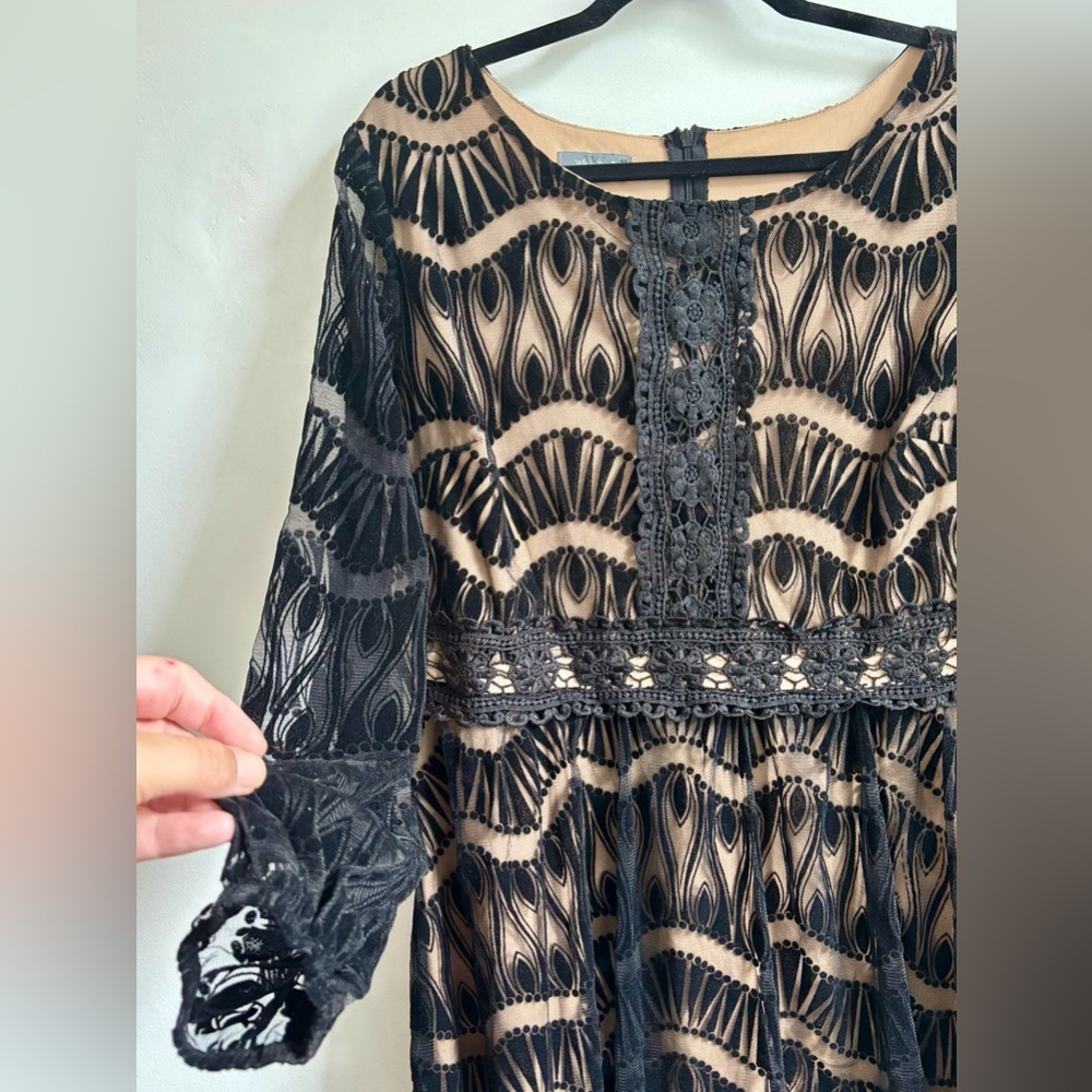 Black and Beige Lace Dress - Picture 4 of 11